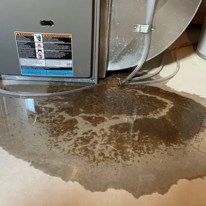 Appliance Leak Cleanup in Lenoir, NC